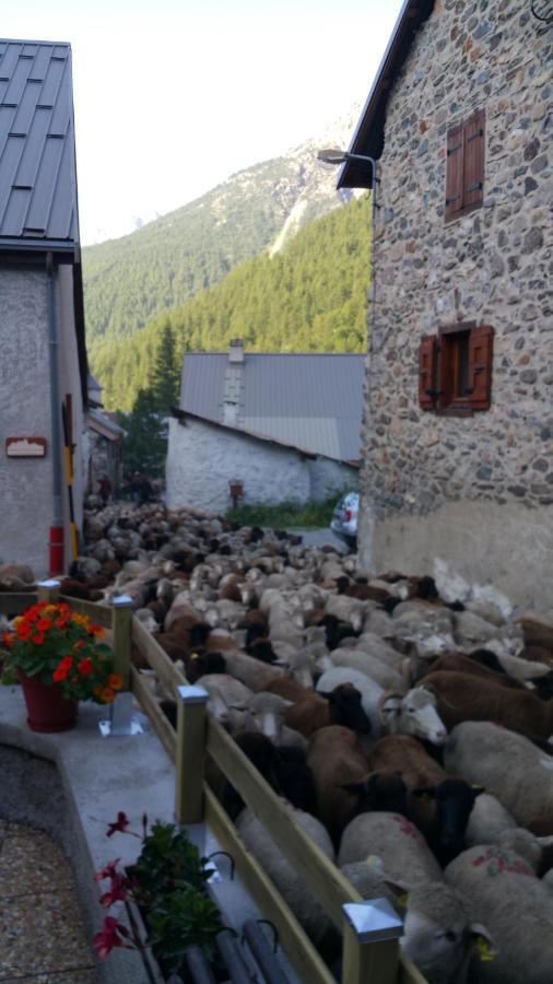 Chez Annie & Marcel Bed and Breakfast Le Monêtier-les-Bains Eksteriør billede